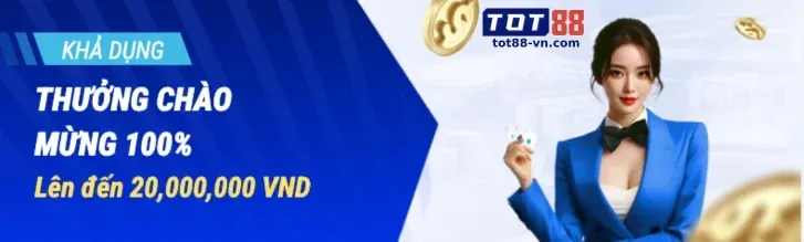 Giới thiệu tổng quan về Swin8